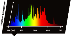 4200K daylight