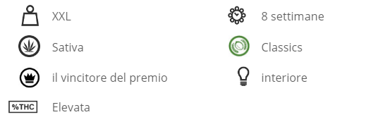 power-plant-dutch passion