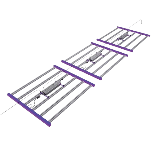 Quasar 630 Led 3.1 mmolJ Cultilite