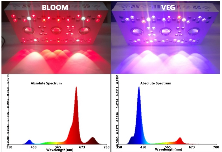 Led COB SJW550 Grow light