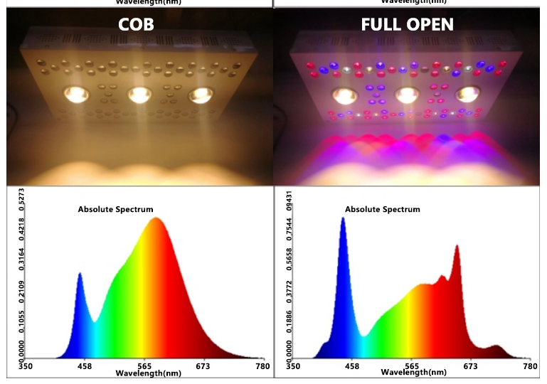 Led COB SJW550 Grow light