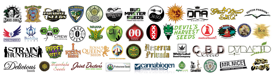 Collector Seeds Shop Cannabis Souvenir the best Brand