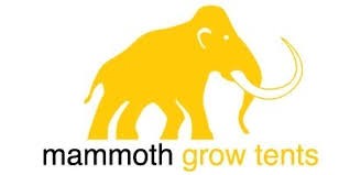 MAMMOTH TENTS