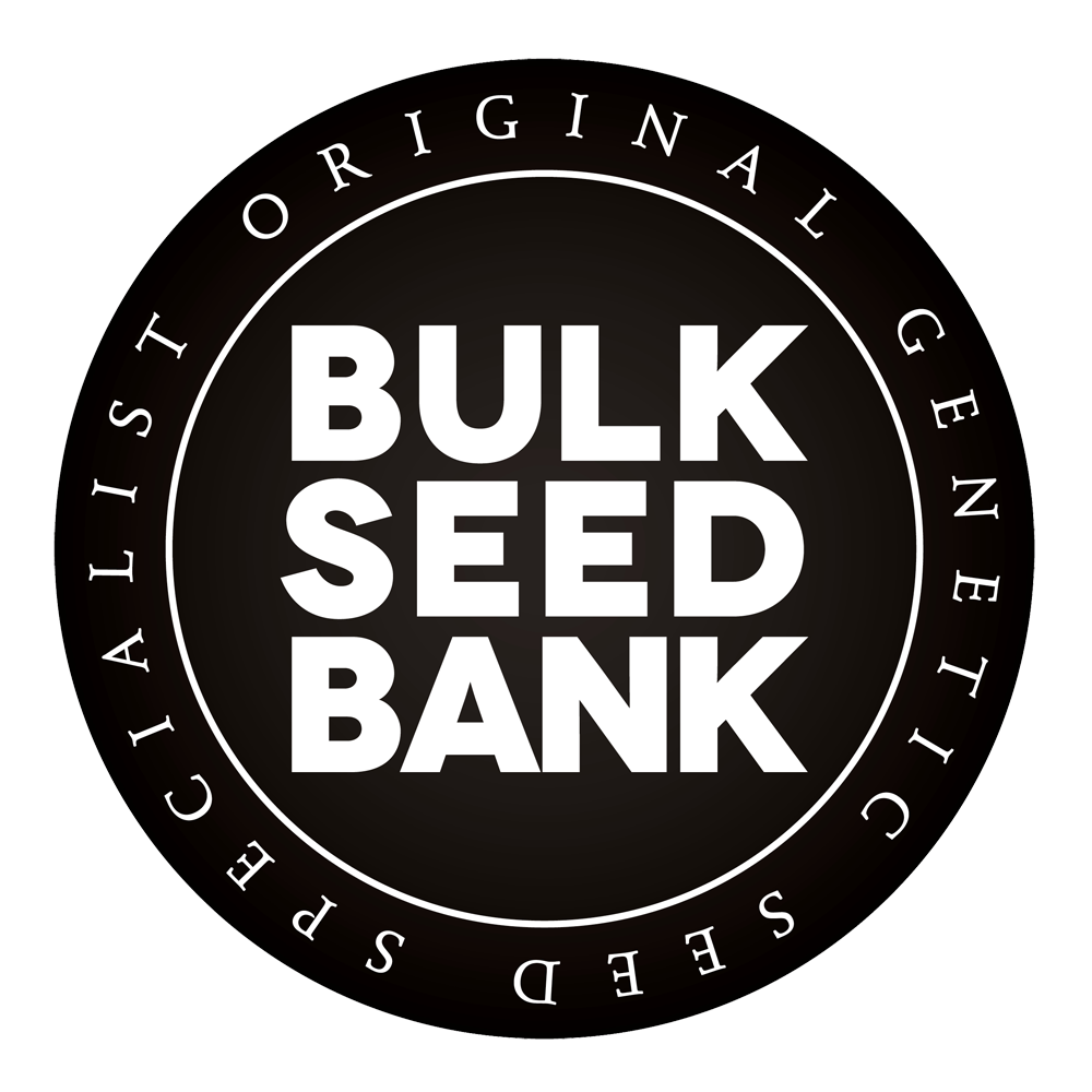BULK SEEDS BANK ORIGINAL SPECIALIST GENETICS