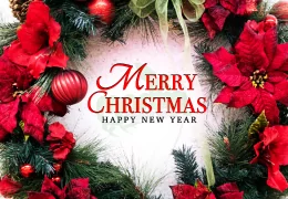 ✨ Celebrate Christmas with Martin Grow Shop - Season's Greetings and Big Surprise!