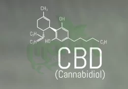 Cos'è il CBD Cannabidiolo e a cosa serve?