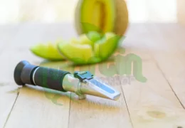 Come Migliorare il Gusto dei Frutti Maturi: Consigli con Valore Brix e Nutrienti